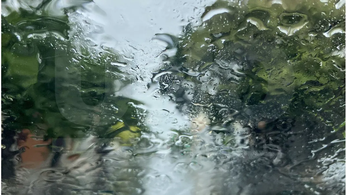 “El Niño”: anticipan fuertes tormentas para septiembre - imagen de origen