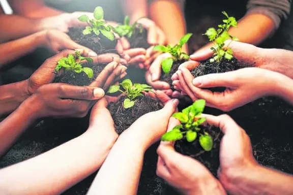 Secretaría de Ambiente, ausente sin aviso - imagen de origen