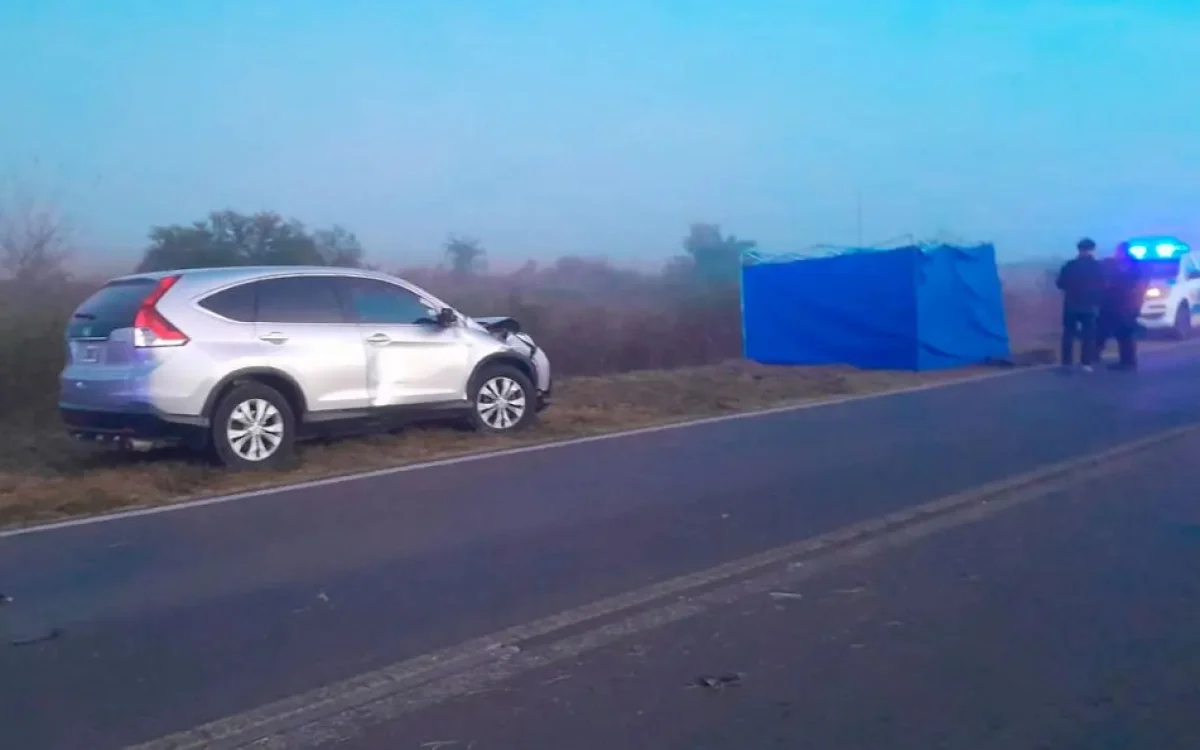 Murió un hombre tras ser atropellado mientras pedía ayuda en la Ruta Provincial 32 - imagen de origen