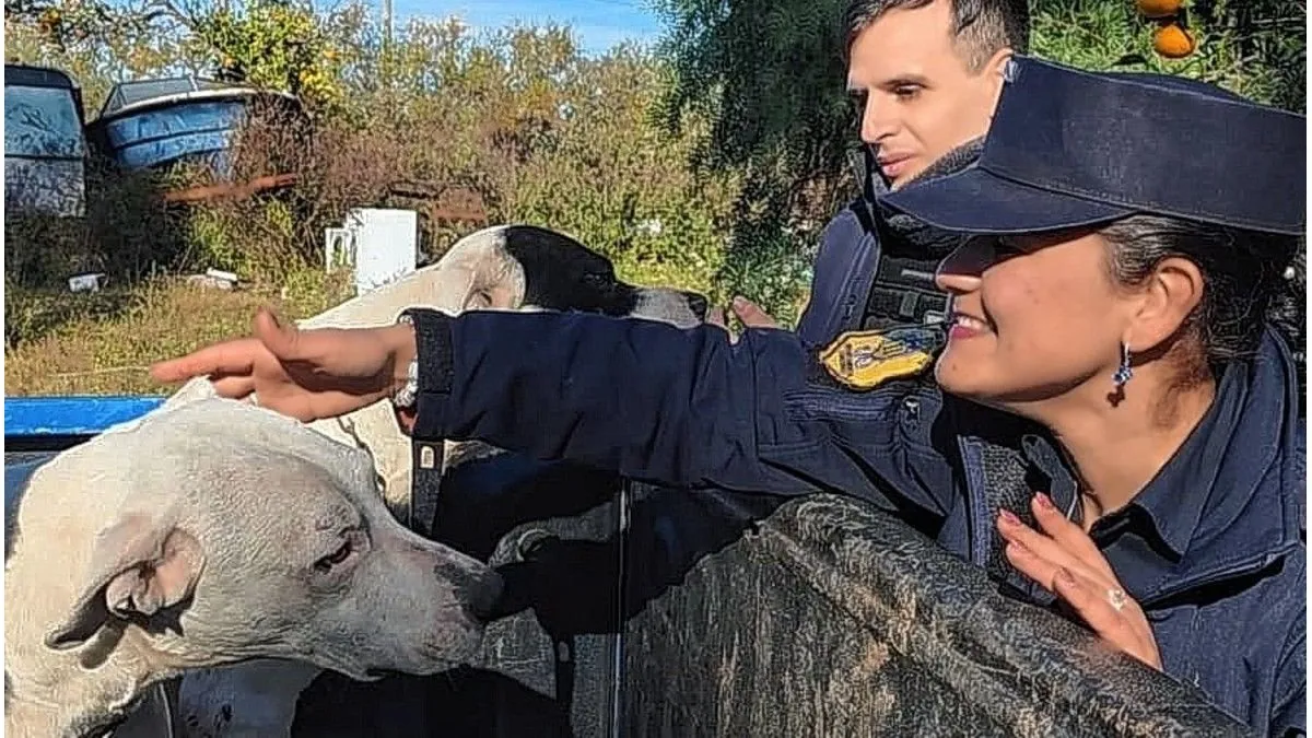 En Concordia secuestraron 19 animales por maltrato - imagen de origen