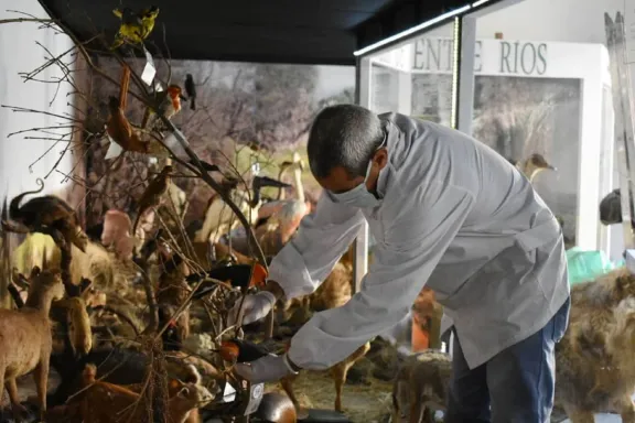 Paraná: el Museo Serrano permanecerá cerrado al público por tareas de conservación preventiva de sus colecciones - imagen de origen