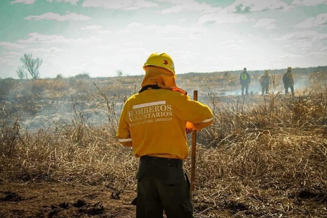 Bomberos sin obra social: piden al Ejecutivo que agilice el acceso a la cobertura de salud - imagen de origen