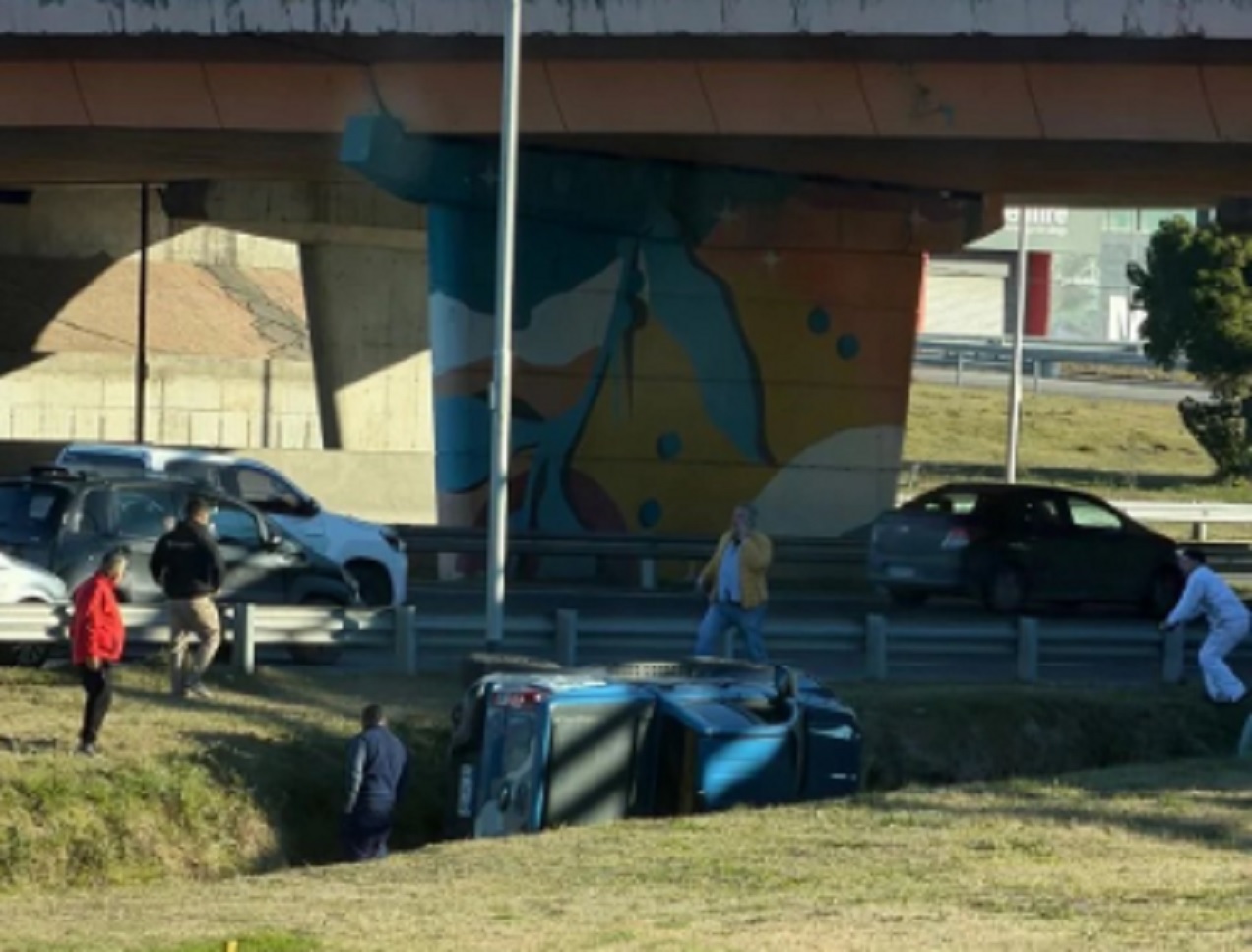 Tras disfrutar de exclusiva cata, camarista federal volcó su vehículo y huyó - imagen de origen