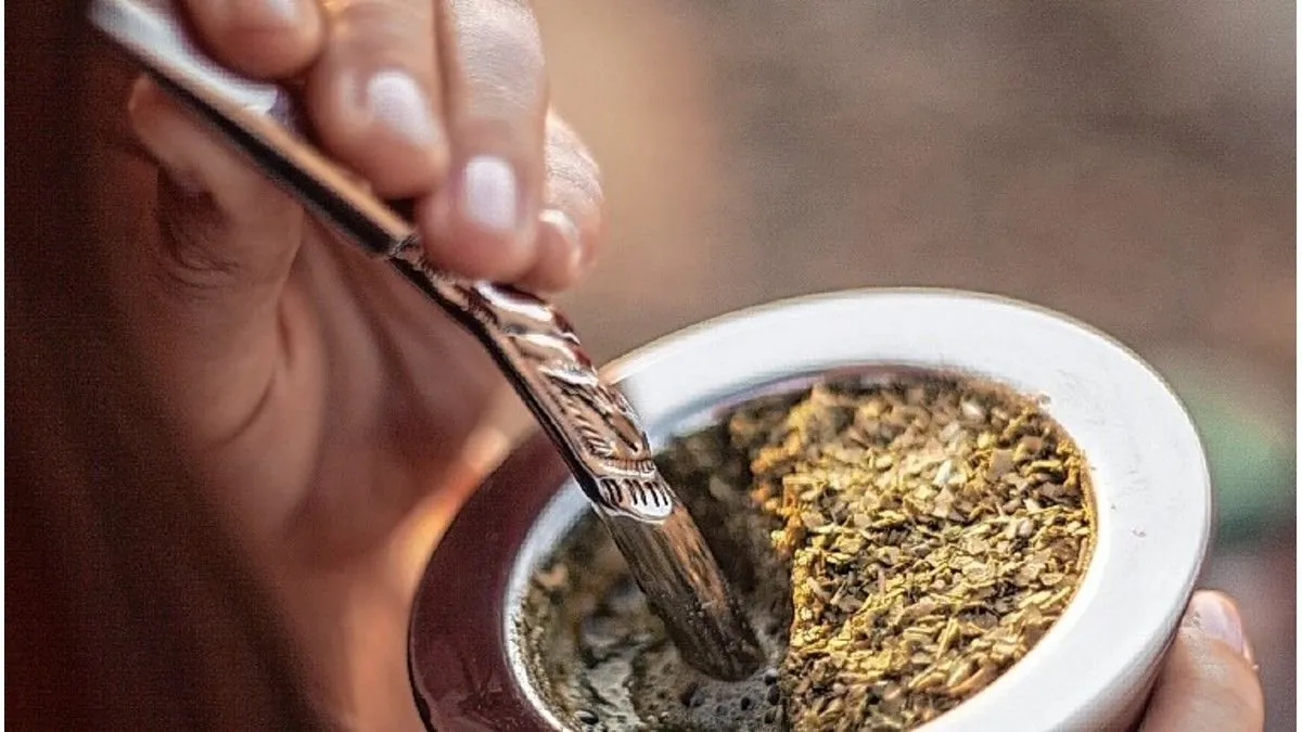 Estudian si la yerba mate puede ayudar a retrasar el Parkinson - imagen de origen