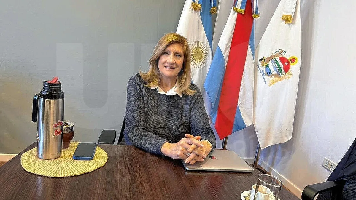 Rosario Romero: “Es muy difícil administrar una ciudad sin los recursos que había antes” - imagen de origen