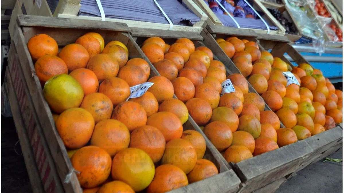 El municipio refuerza la alimentación de merenderos con frutas de estación - imagen de origen