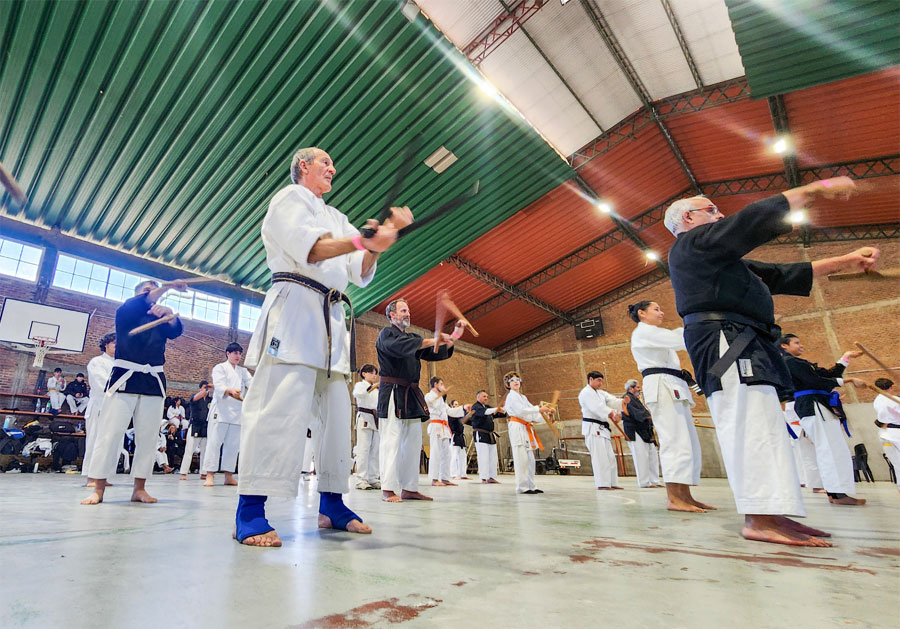 Se realizó un seminario de Karate y Kobudo en Villa Elisa - imagen de origen