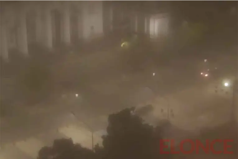 Alerta violeta por niebla: advierten baja visibilidad en Entre Ríos y gran parte del país este domingo - imagen de origen