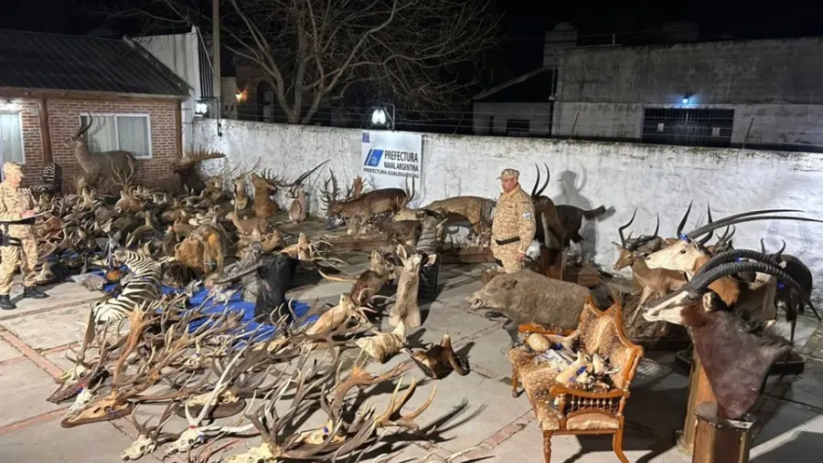 Millonario decomiso en un allanamiento a un coto de caza entrerriano | Análisis - imagen de origen