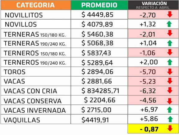 Mayo mostró escasa variación en los precios de la hacienda que bajó el 1% - imagen de origen