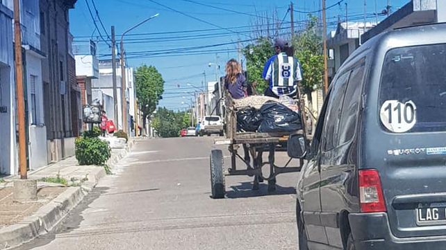 En Concordia tratan de prohibir tracción a sangre - Informe Digital - imagen de origen