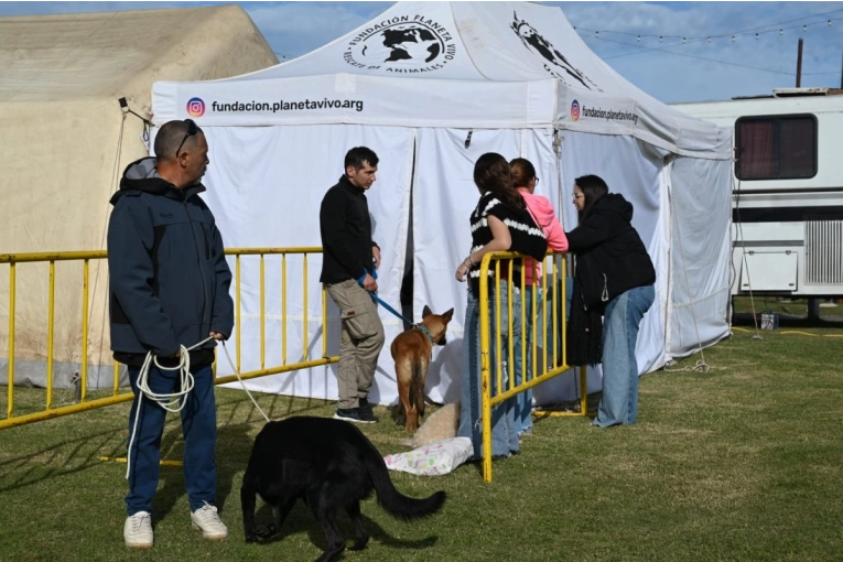 Bienestar animal: un centenar de animales ya fueron atendidos en el Guanimal Day - imagen de origen