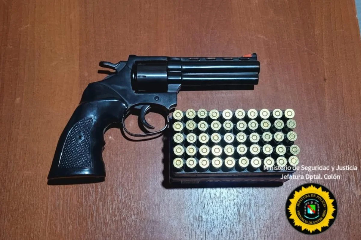 Secuestraron un revólver durante un procedimiento por violencia familiar en Colón - imagen de origen