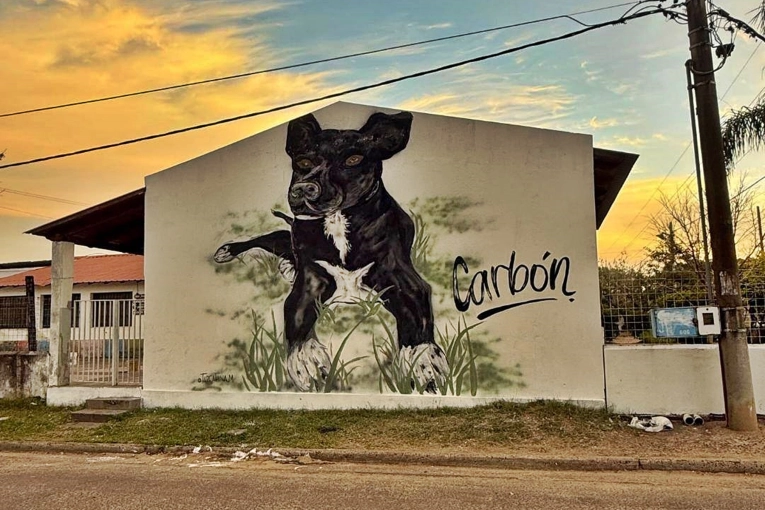 La historia del perro "Carbón" ahora es furor en México - imagen de origen