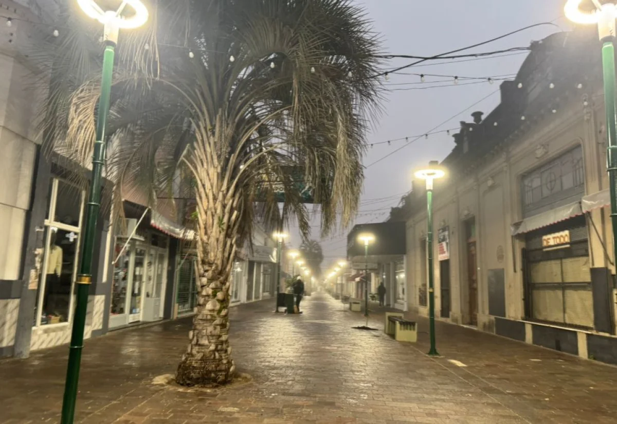 Último día de mayo: frío al amanecer y niebla intensa en Concepción del Uruguay - imagen de origen