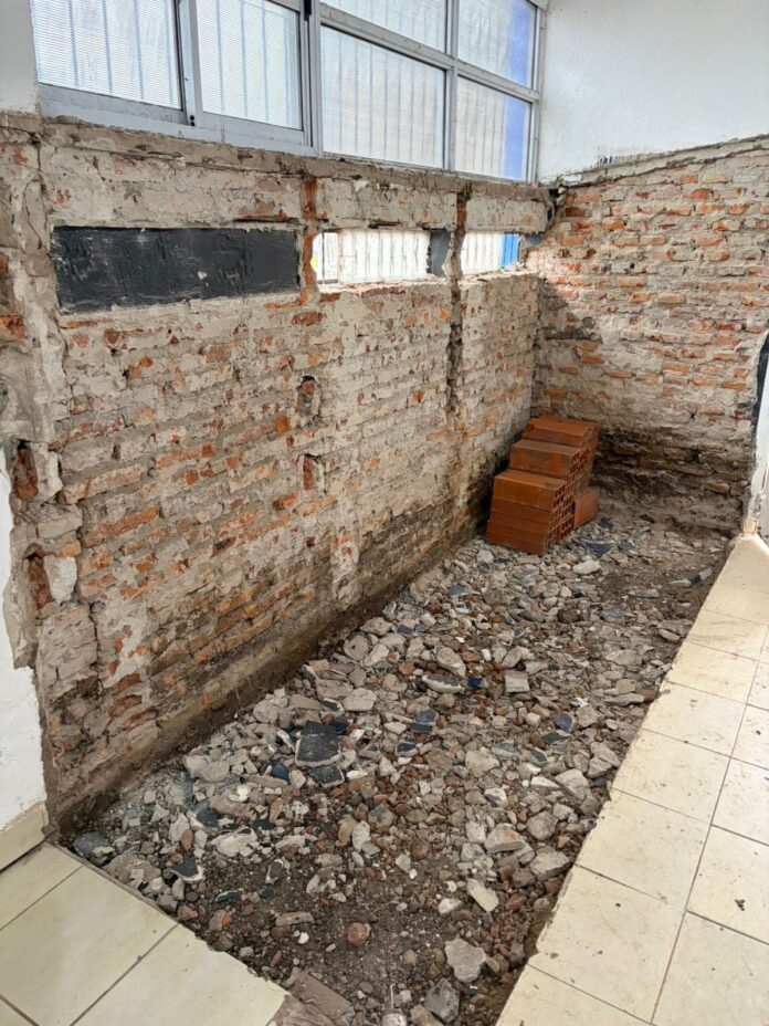 El Municipio refuerza las acciones de salud animal en Concepción del Uruguay - imagen de origen