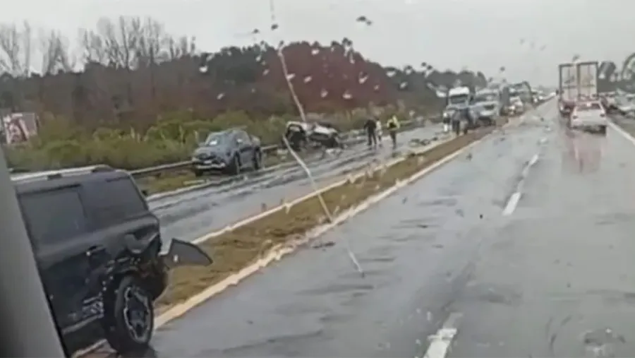 Cuatro víctimas fatales en choque múltiple en la RN 12: investigan las causas del siniestro en Isla Talavera | Análisis - imagen de origen