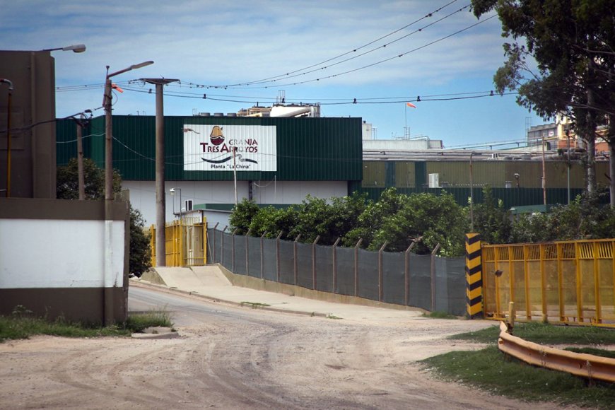Trabajo vuelve a intervenir en el conflicto en Granja Tres Arroyos - imagen de origen