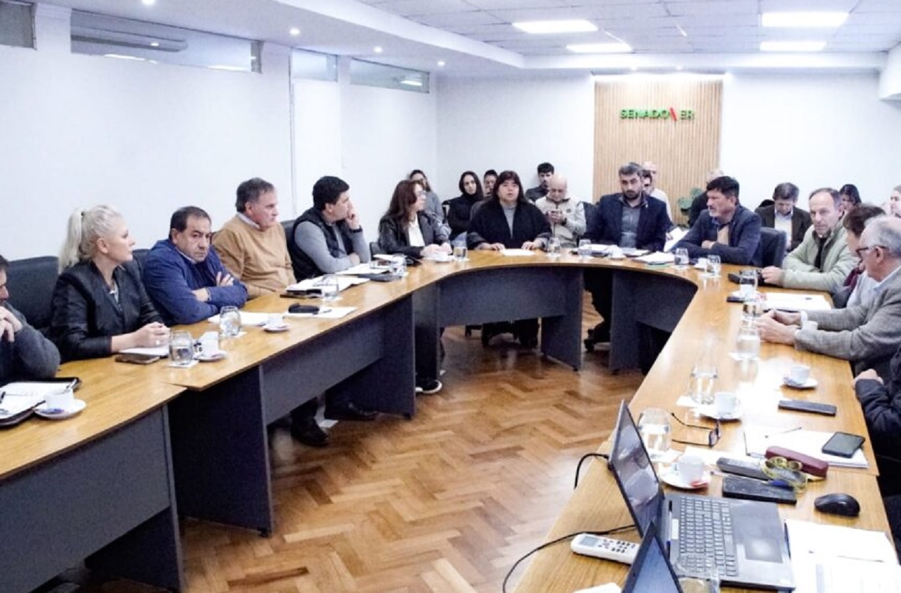 Reforma Previsional: senadores acordaron cronograma de trabajo - imagen de origen