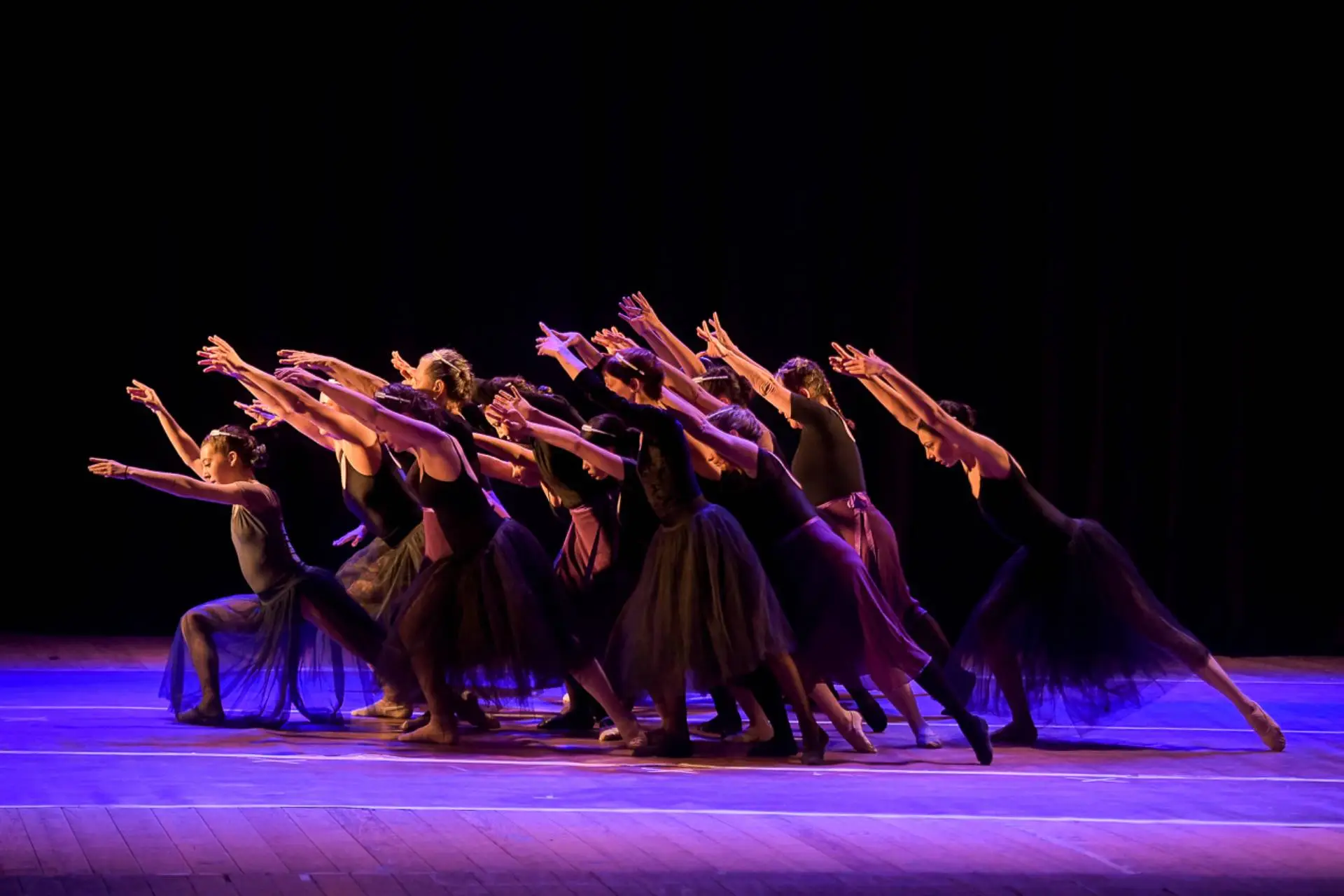 Seleccionaron las propuestas que participarán del primer Encuentro Entrerriano de Danza - Plaza Web - imagen de origen