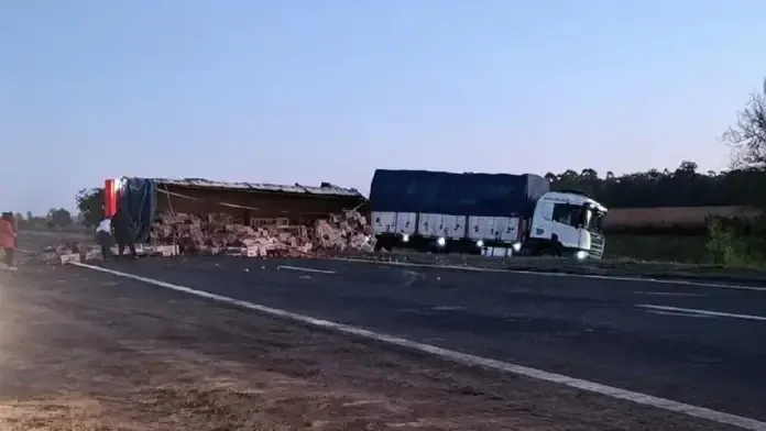 Volcó un camión en la Ruta 12 en el sur de Entre Ríos y está totalmente cortado el tránsito - imagen de origen