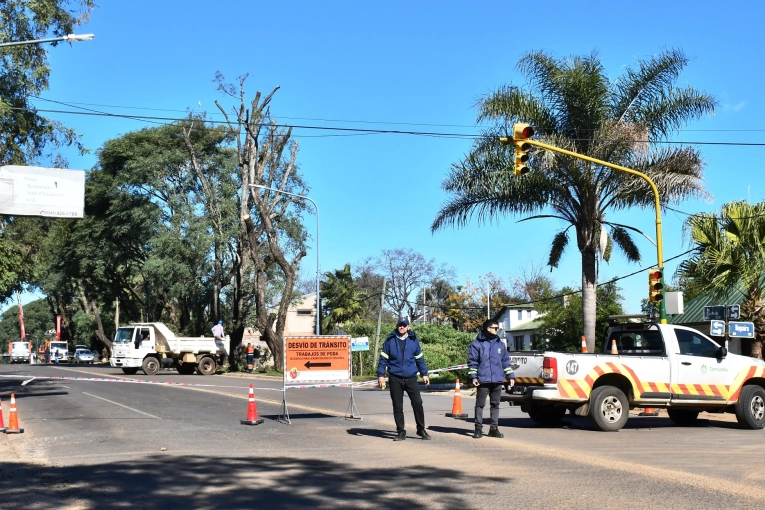 Continúan los trabajos de poda en altura y el municipio anunció cortes de tránsito sobre una avenida de la ciudad - imagen de origen