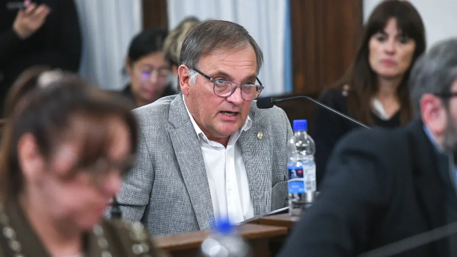 Berthet contradice a Vergara: “Tener dictamen sobre la reforma previsional nos llevará al menos dos semanas” | Análisis - imagen de origen