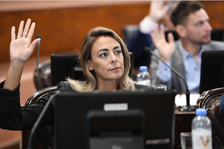Reforma previsional: “Una banca no es una decisión individual aislada”, expresó Arrozogaray - imagen de origen