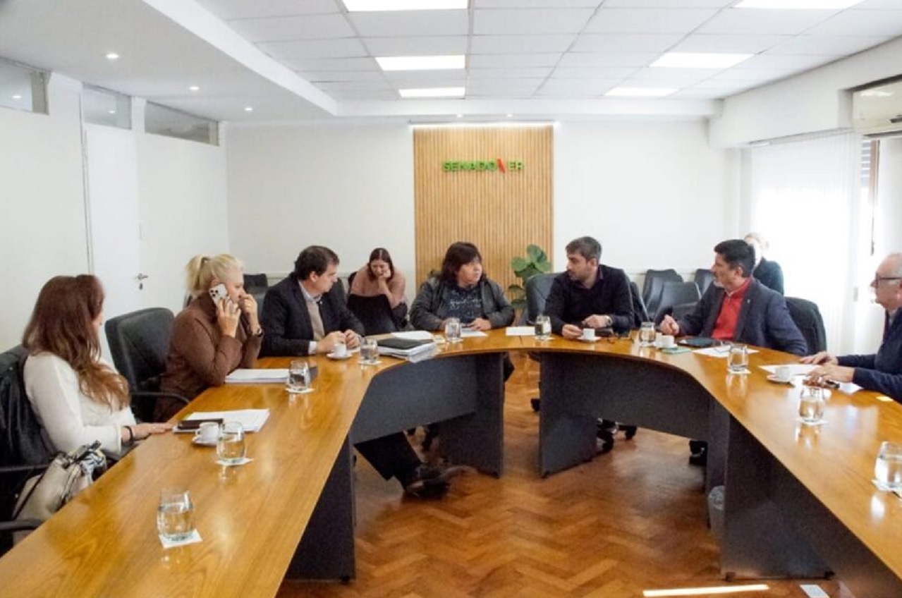 En comisión tuvo dictamen el proyecto sobre pensiones especiales - imagen de origen
