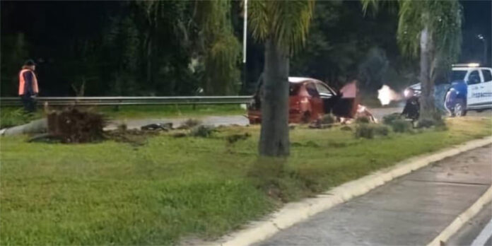 Alcoholizado y al volante: chocó contra una palmera y dejó dos heridas - imagen de origen
