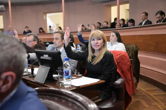 “La Entre Ríos productiva que vuelve a ponerse de pie”, expresó la diputada Romero - imagen de origen
