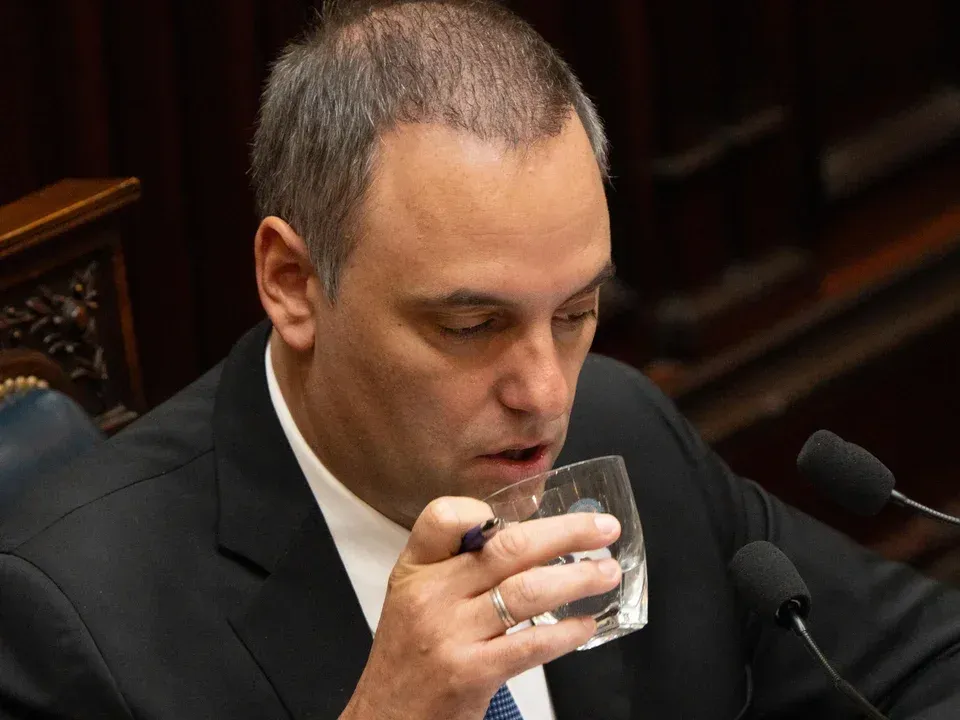 Adorni canceló el informe de gestión que iba a dar el 2 de julio en el Senado - imagen de origen