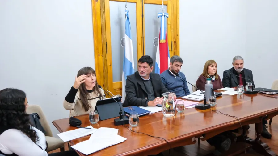 Discusión en el Senado por la reforma previsional: UPCN planteó cambios y APS advirtió por un “ajuste brutal" | Análisis - imagen de origen
