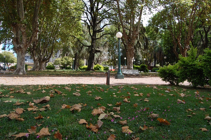 Domingo otoñal en Gualeguaychú: el frío da un leve respiro y la temperatura trepará a los 17ºC - imagen de origen
