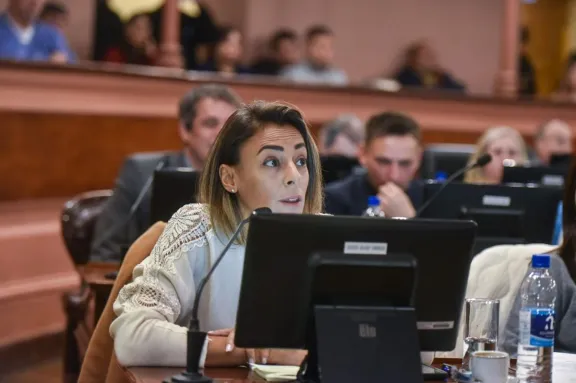 Más para Entre Ríos propone medidas para proteger al comercio local frente a la competencia desleal - imagen de origen