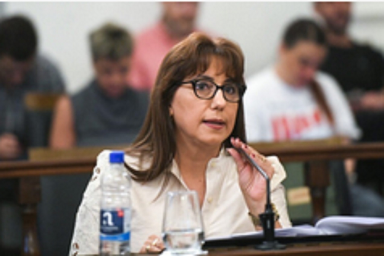 Domínguez: “Mi compromiso es con el vecino. Si esto es ser traidora: soy la mayor traidora” - imagen de origen