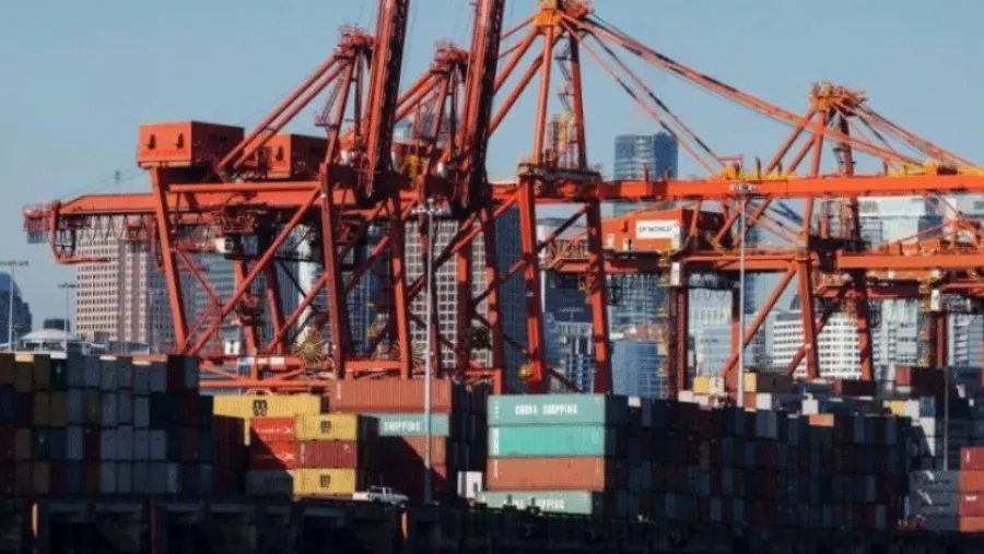 Huevos y cerdo: las exportaciones alcanzaron números récord y se abren nuevos mercados en Europa y Asia | Análisis - imagen de origen