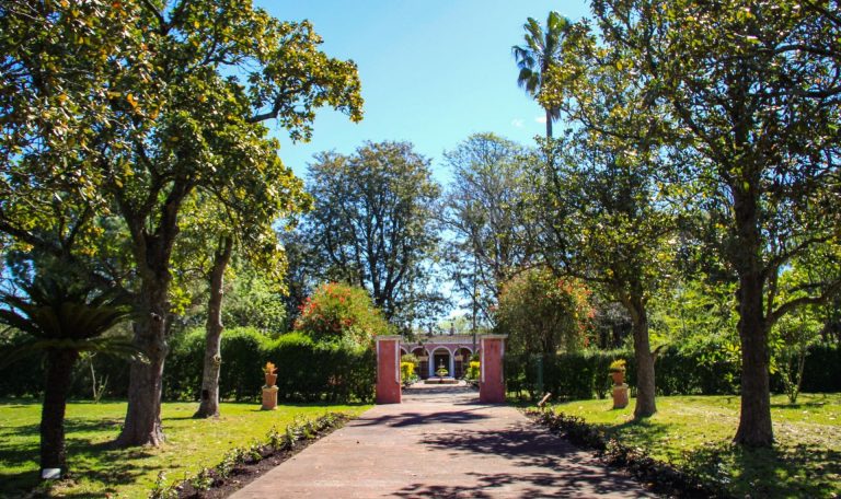 Este jueves se redescubrirá el Palacio San José con una experiencia cultural y participativa - imagen de origen