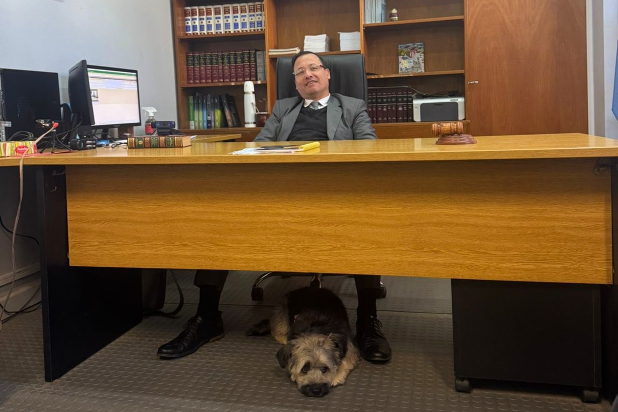 “Blacky”, perra en disputa: un caso inédito que abre debate y plantea desafíos jurídicos - Noticias - Elentrerios.com - imagen de origen