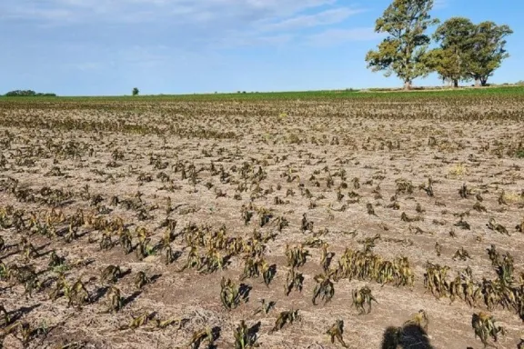 Mes de mayo, excepcionalmente seco: llovió casi 60% menos de lo habitual en Entre Ríos - imagen de origen