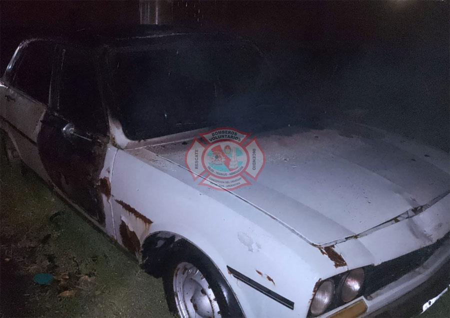 Alerta nocturna: Bomberos sofocaron el incendio de un automóvil en Delio Panizza al 1300 - imagen de origen
