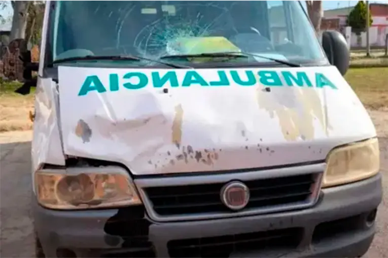 Ambulancia chocó un caballo suelto en la ruta: "No se hacen cargo", afirmó intendente entrerriano - imagen de origen