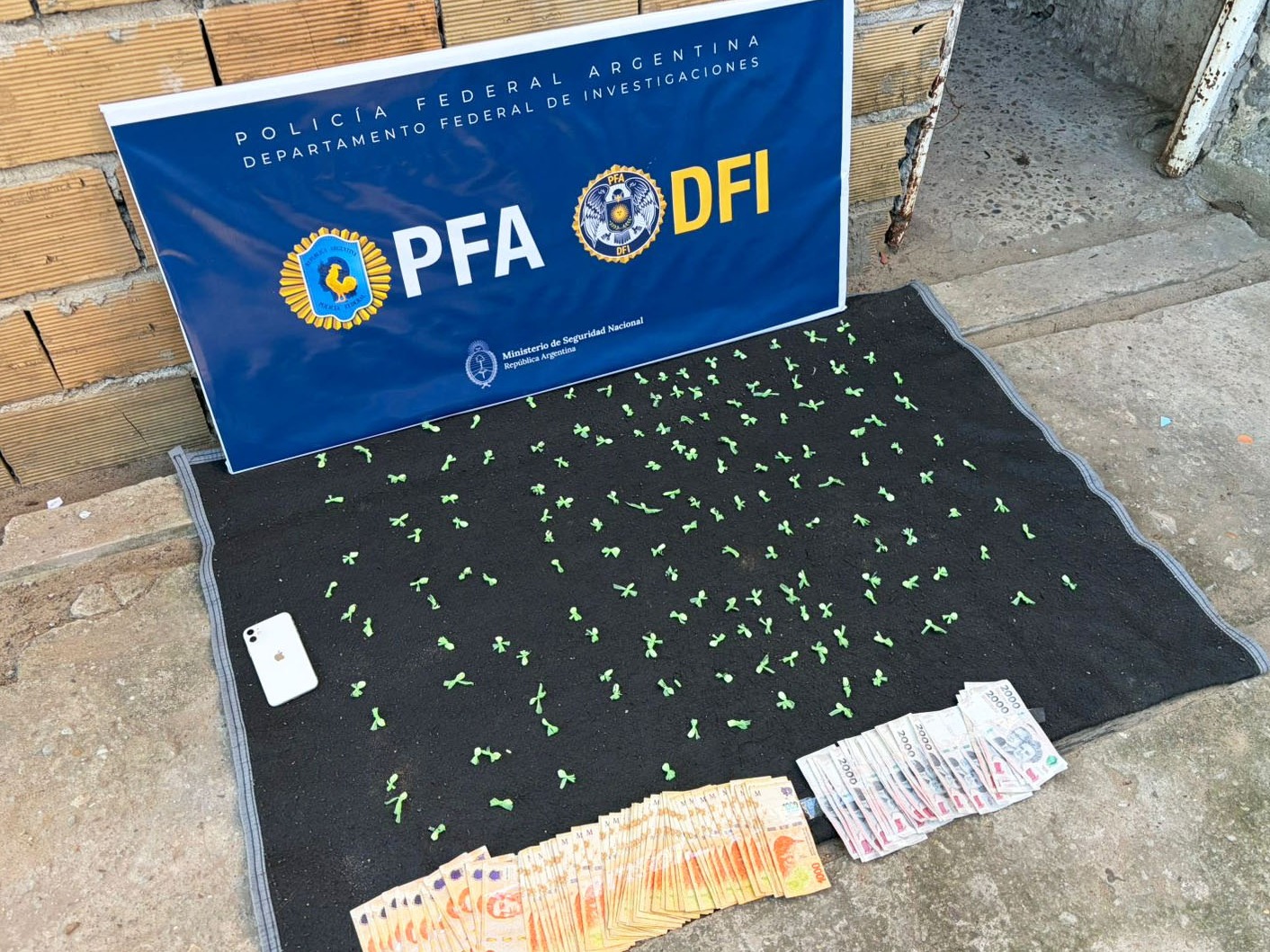 Allanaron un bunker narco en Concordia y secuestraron más de 400 gramos de cocaína - imagen de origen