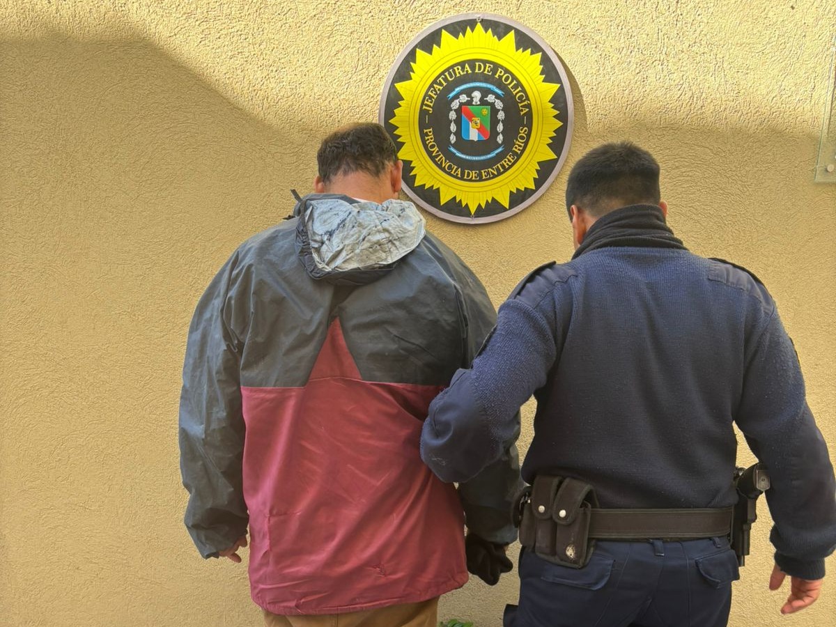 Detuvieron a dos delincuentes por distintos robos en las últimas horas - imagen de origen