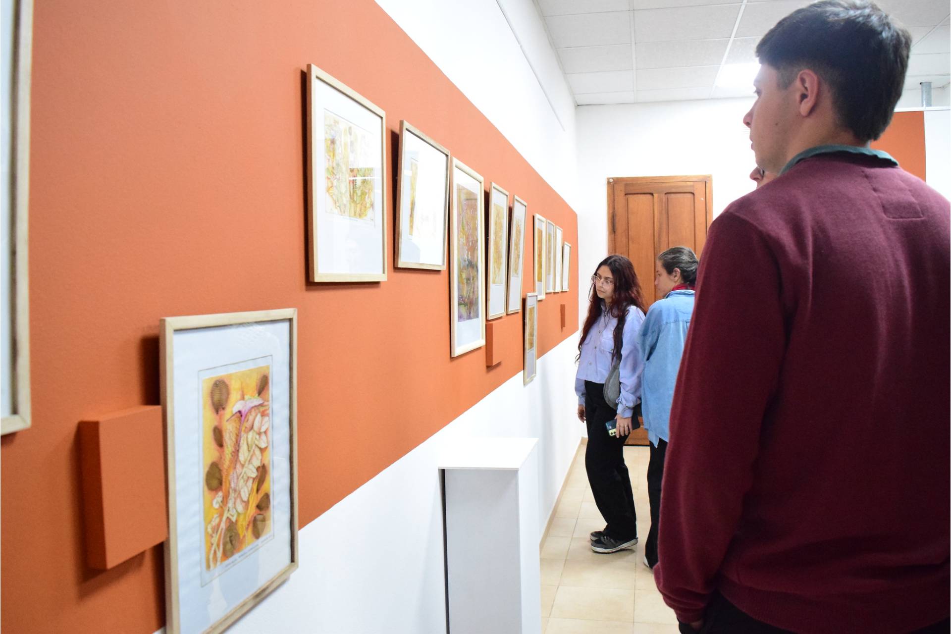 Inicia Encuentro Entrerriano de Artes Visuales - imagen de origen
