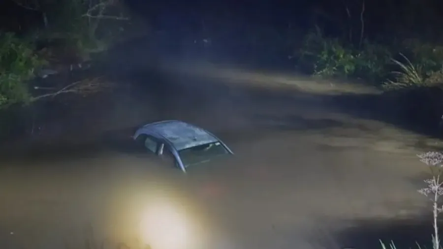 Un auto cayó a un arroyo y un familiar rescató a sus dos ocupantes | Análisis - imagen de origen