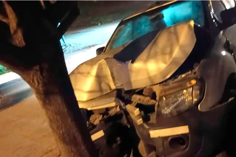 Victoria: un joven conducía una camioneta, chocó contra un árbol y la dejó abandonada - imagen de origen