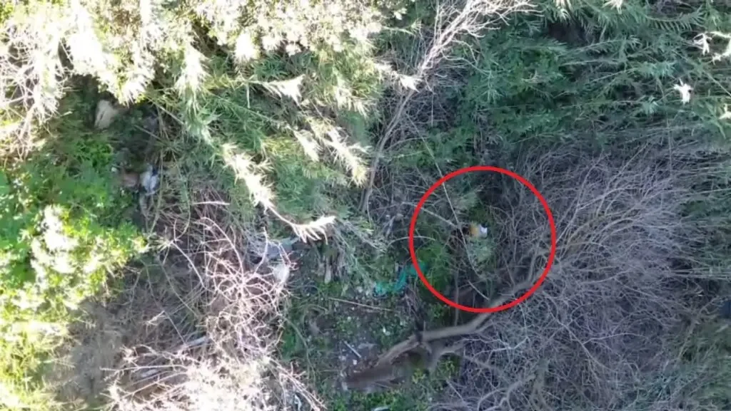 Persiguieron con un drone a un peligroso delincuente y lograron atraparlo en un arroyo - imagen de origen