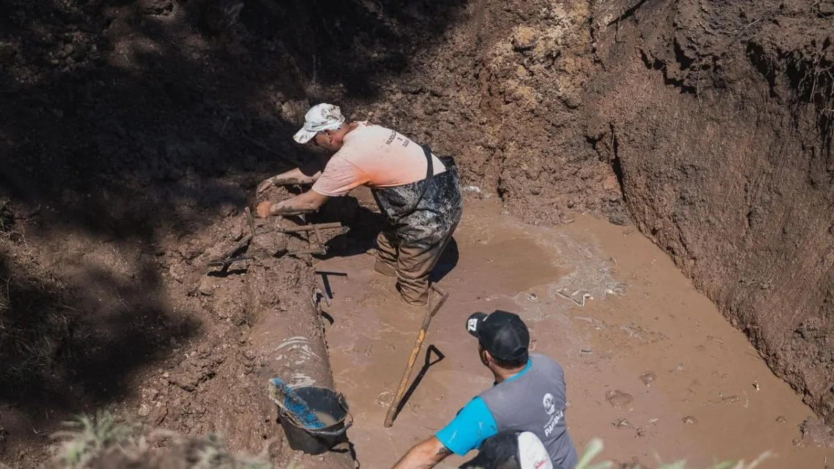 Día del Trabajador Sanitarista: una labor esencial que no se detiene ni en invierno ni en emergencia - imagen de origen