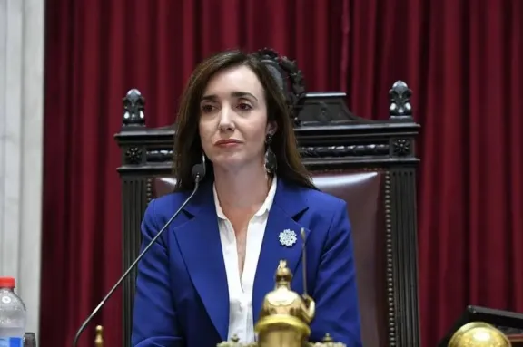 Villarruel volvió a apuntar contra Petri y sumó a Bullrich en las críticas a su gestión en el Gobierno - imagen de origen